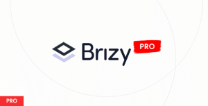 Brizy Builder Pro