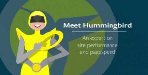 WPMU Dev Hummingbird Pro Real GPl