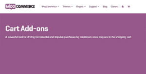 WooCommerce Cart Addons