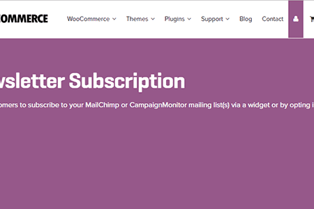 WooCommerce Newsletter Subscription