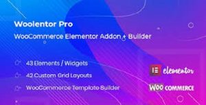 Woolentor Pro