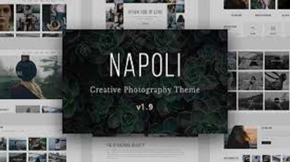 napoli-theme_optimized