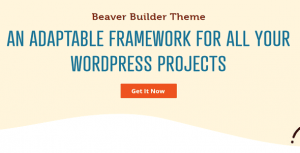 beaver builder theme Real GPL