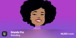 WPMU Dev branda pro Real GPL