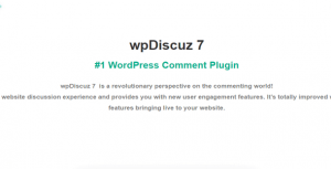 wpDiscuz Real GPL