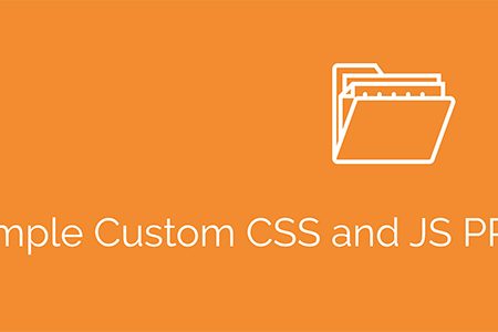 Simple Custom CSS and JS PRO Real GPL