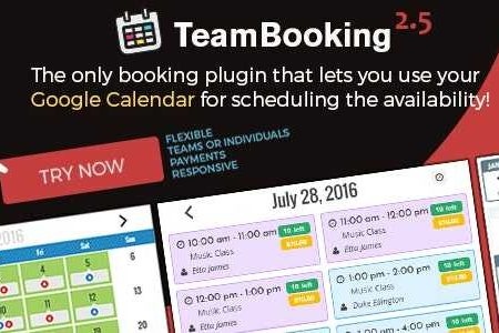 Team Booking - WordPress booking system Real GPL