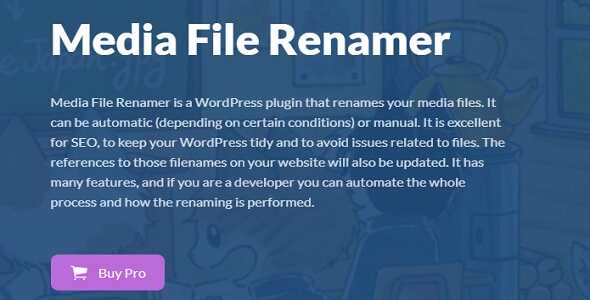 Media File Renamer Pro Real GPL