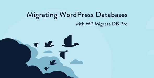 Wp Migrate DB Pro Real GPL