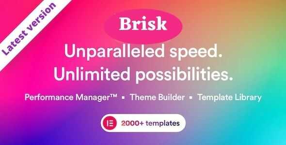 Brisk - Multi-Purpose Elementor WordPress Theme