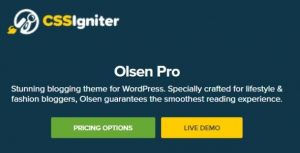 CSS Igniter Olsen Pro Theme GPL