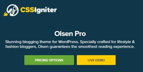CSS Igniter Olsen Pro Theme GPL