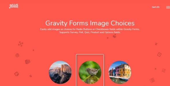 Gravity Forms Image Choice