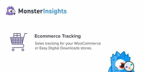 MonsterInsights eCommerce Tracking Addon