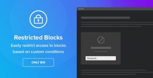 Restricted Blocks Plugin Real GPL
