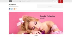 Themify Minshop WooCommerce Theme gpl