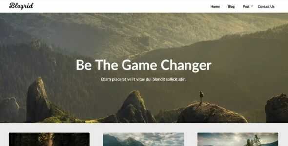 SuperbThemes Blogrid Theme GPL