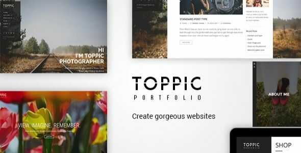 TopPic Theme gpl