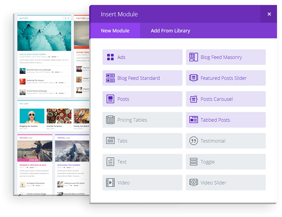 DIVI EXTRAS Lifetime