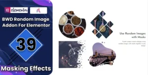 Random Image Addon For Elementor GPL