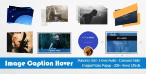 Image Caption Hover Pro GPL