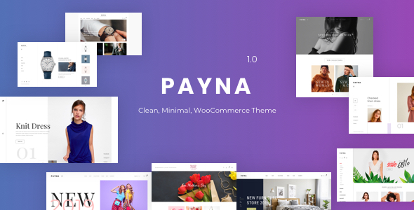 Payna Theme GPL